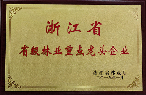 浙江省省级林业重点龙头企业